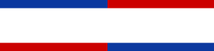 Ace Parker Tire